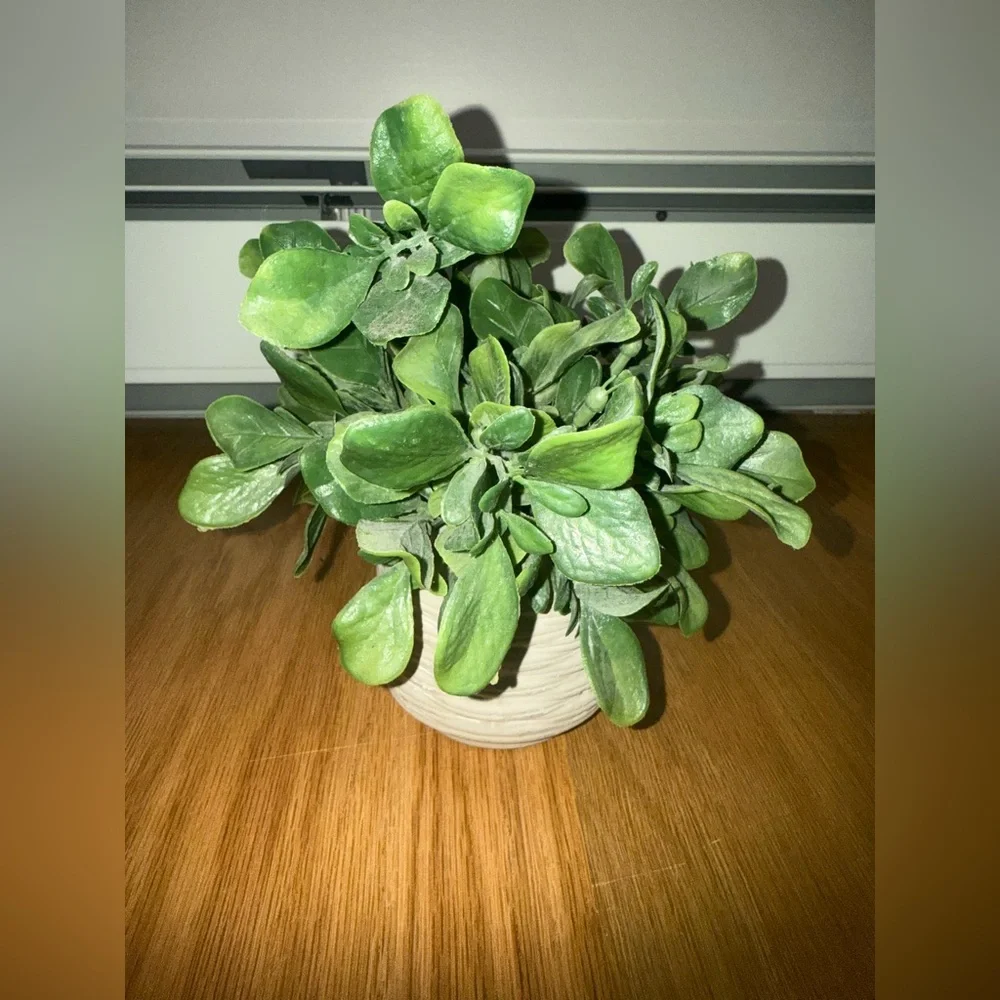 Greenery in White/grey Textured Pot